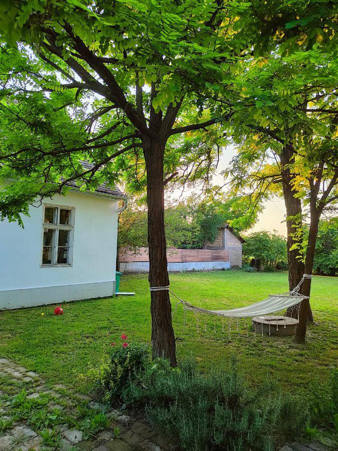 Ethno&Coffee House Tulip Bed & Breakfast Glozan Екстериор снимка