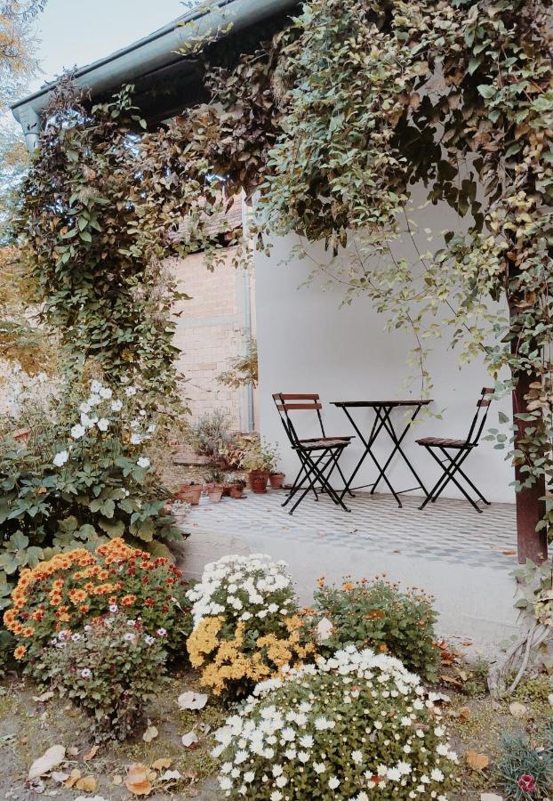 Ethno&Coffee House Tulip Bed & Breakfast Glozan Екстериор снимка