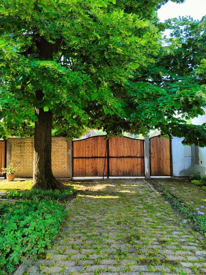 Ethno&Coffee House Tulip Bed & Breakfast Glozan Екстериор снимка