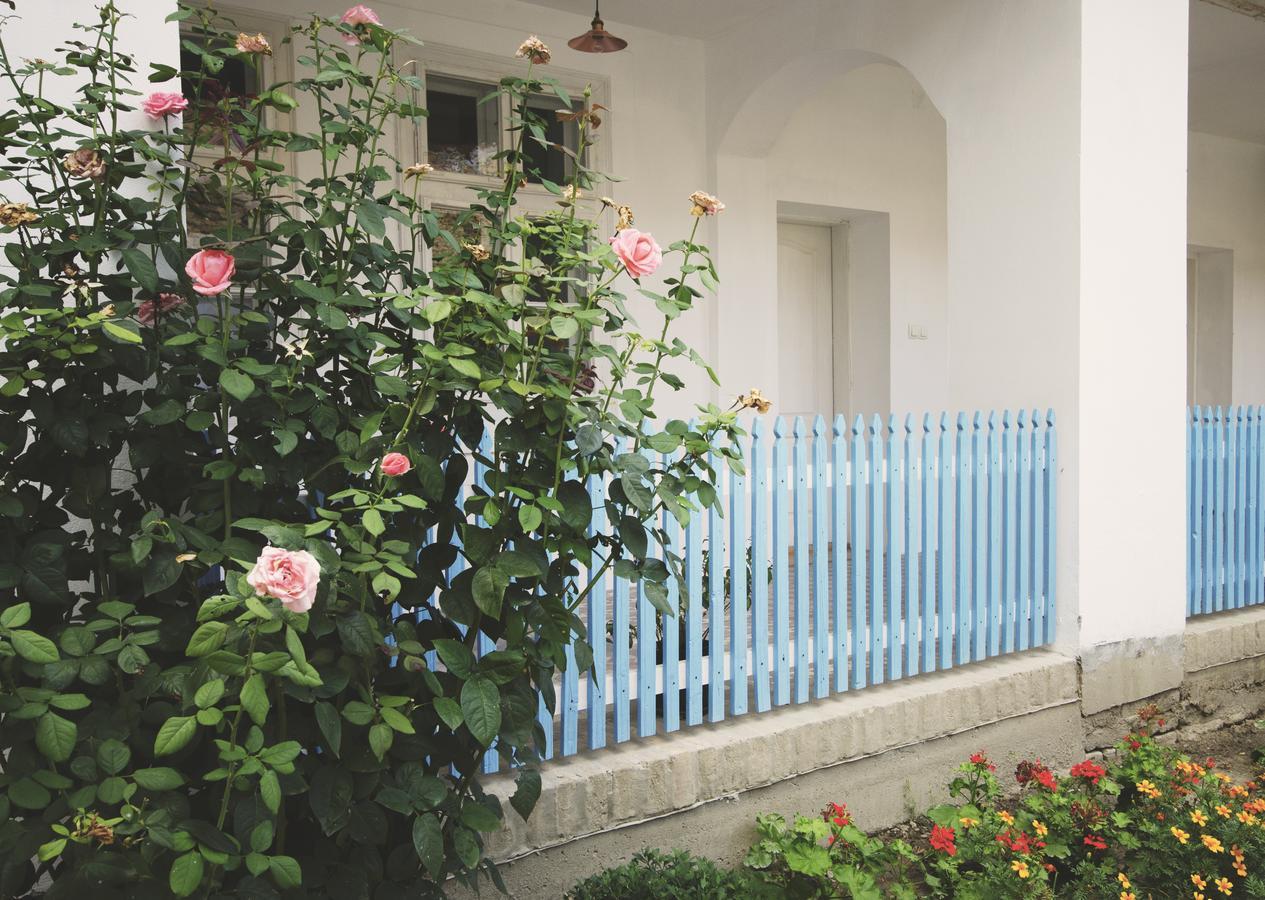 Ethno&Coffee House Tulip Bed & Breakfast Glozan Екстериор снимка